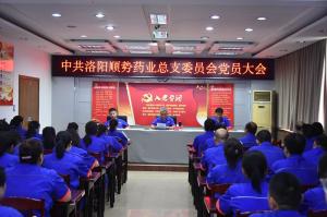 洛陽順勢藥業(yè)有限公司黨總支召開黨員大會 會議選舉產(chǎn)生新一屆總支委員會